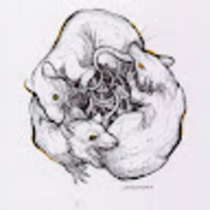 Meet your Posher, Sofia